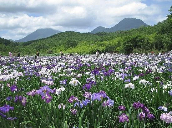 Kagurame Lake