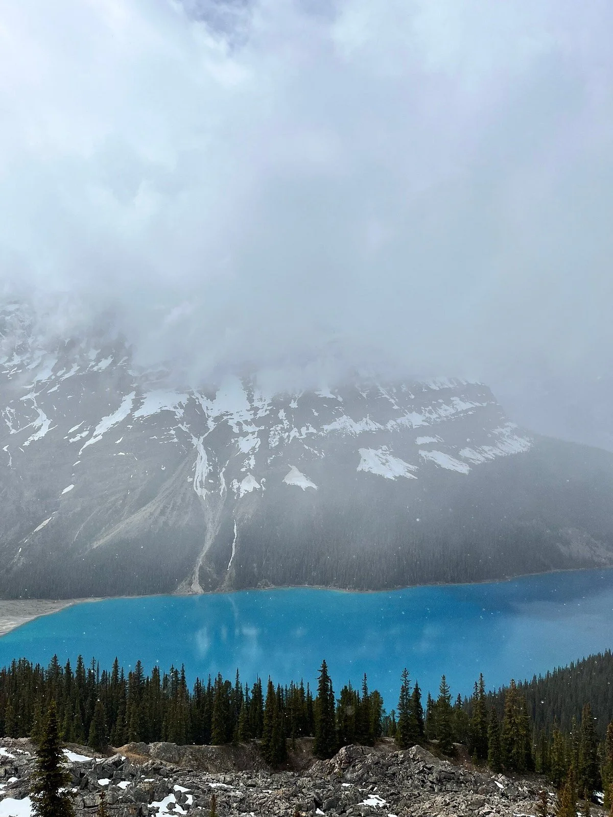 Peyto Lake Trail