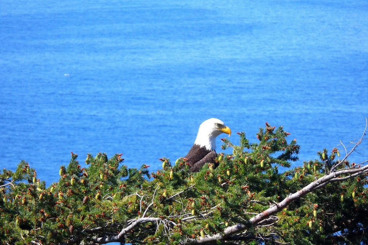Anderson Bay Provincial Park