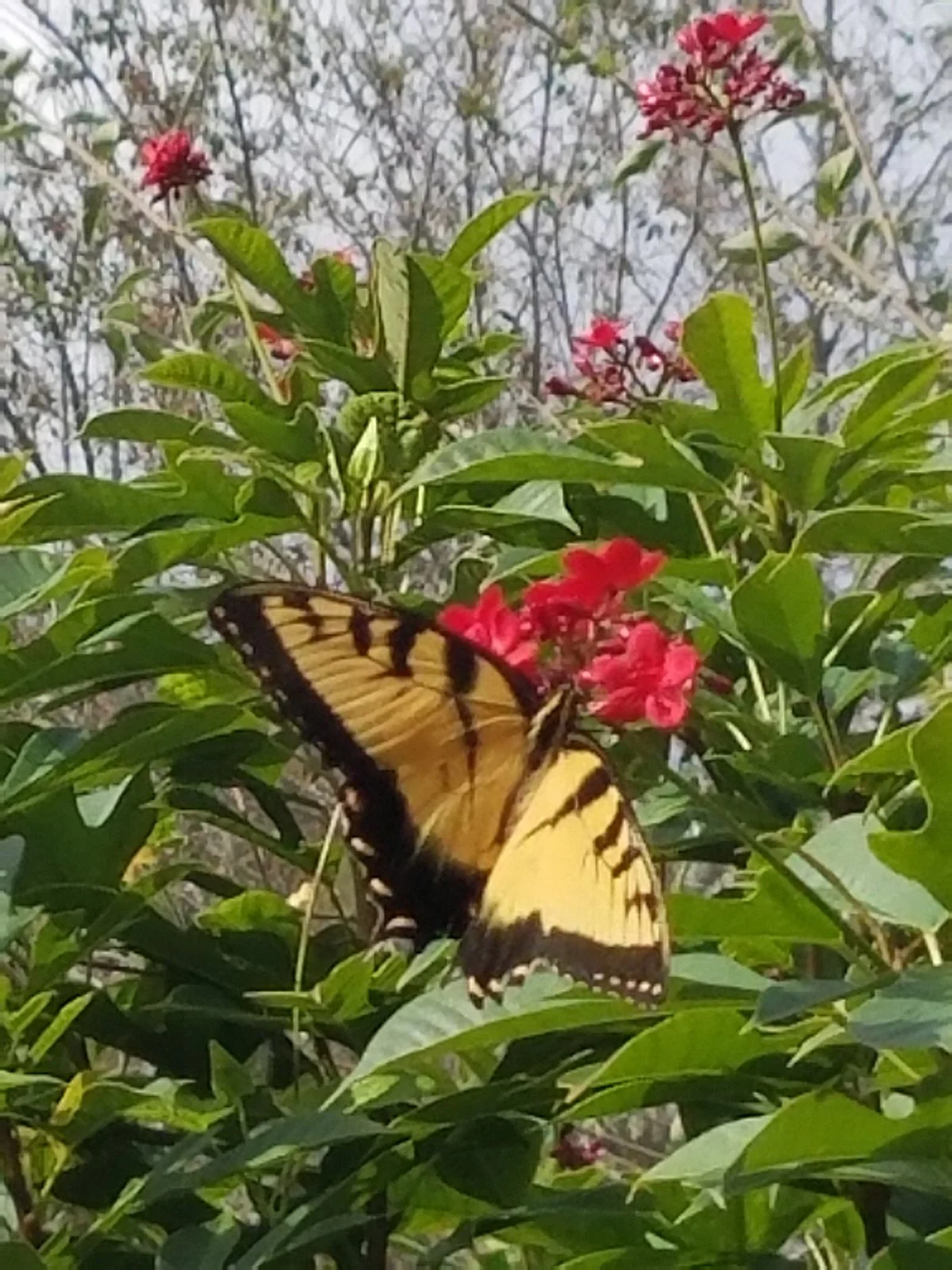 Discovery Gardens