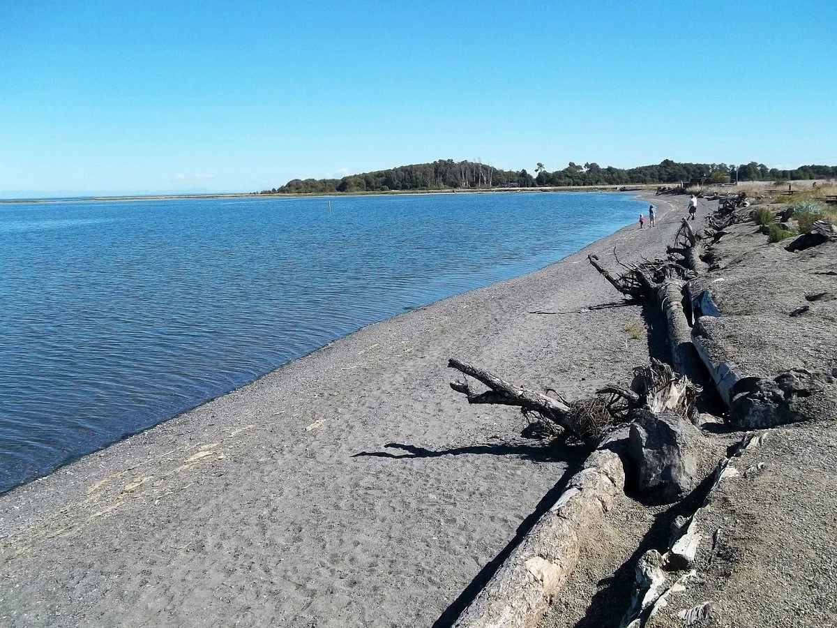 Dungeness Landing County Park