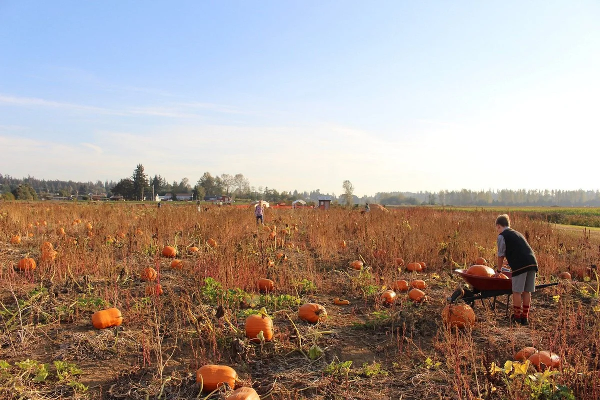 Biringer Farm