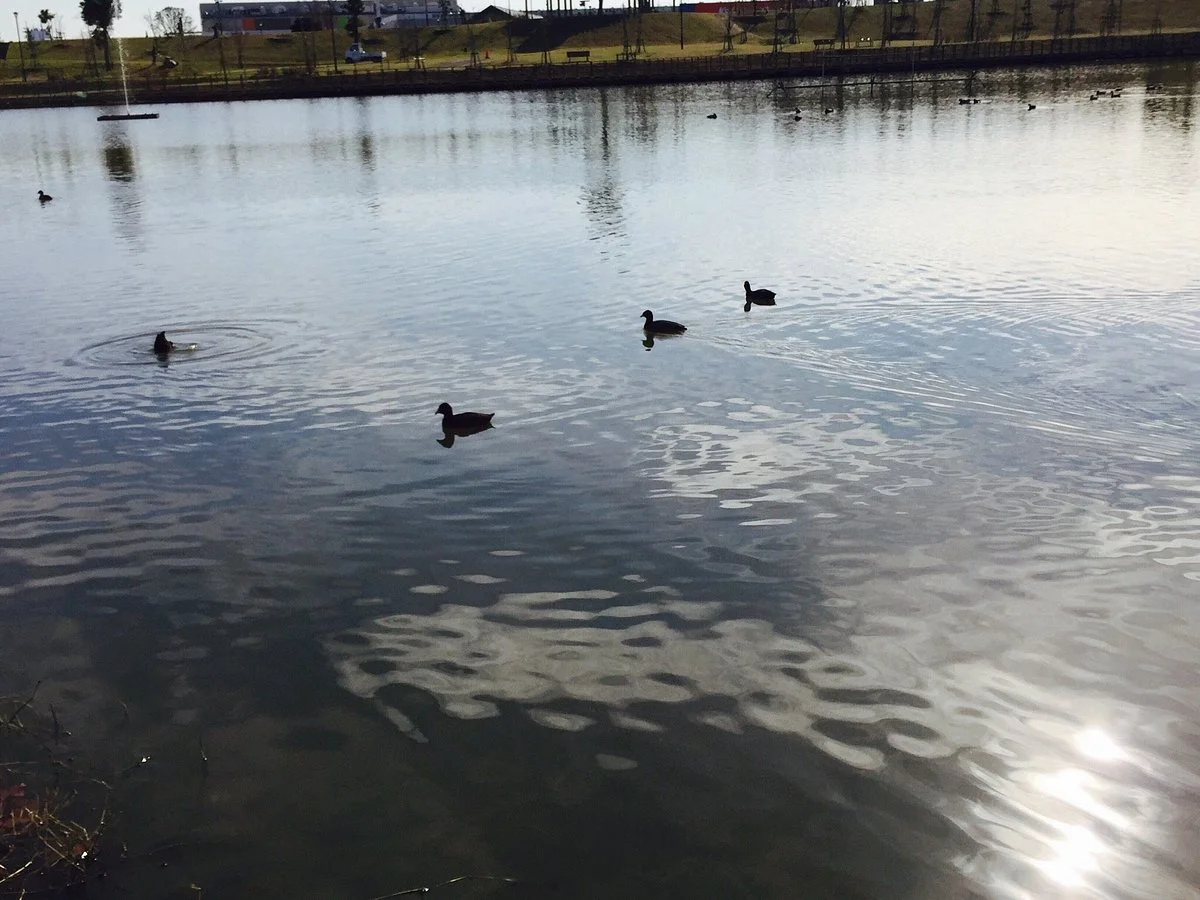 Kazusa Sarashina Park