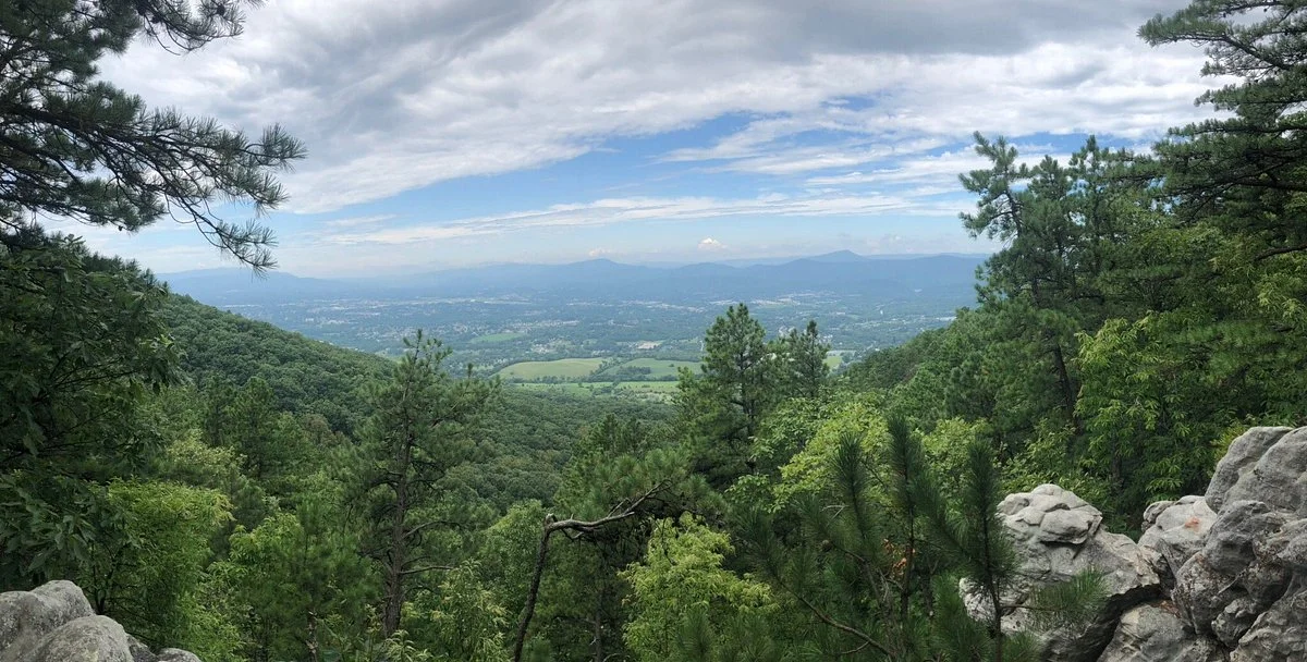 Read Mountain Preserve