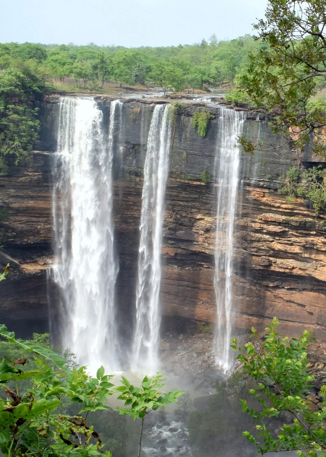 Panna National Park