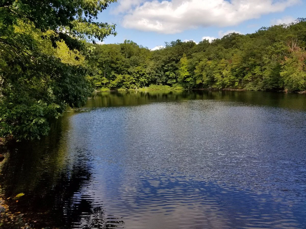 Lucius Pond Ordway / Devil's Den Preserve
