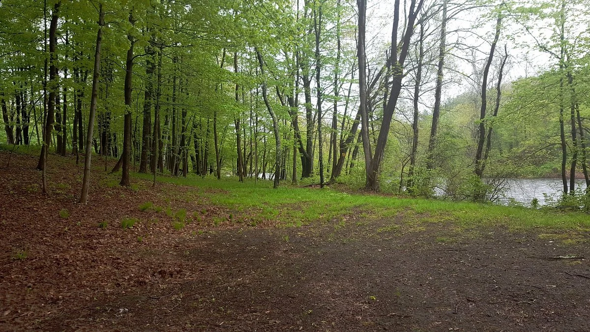 Satan's Kingdom State Recreation Area