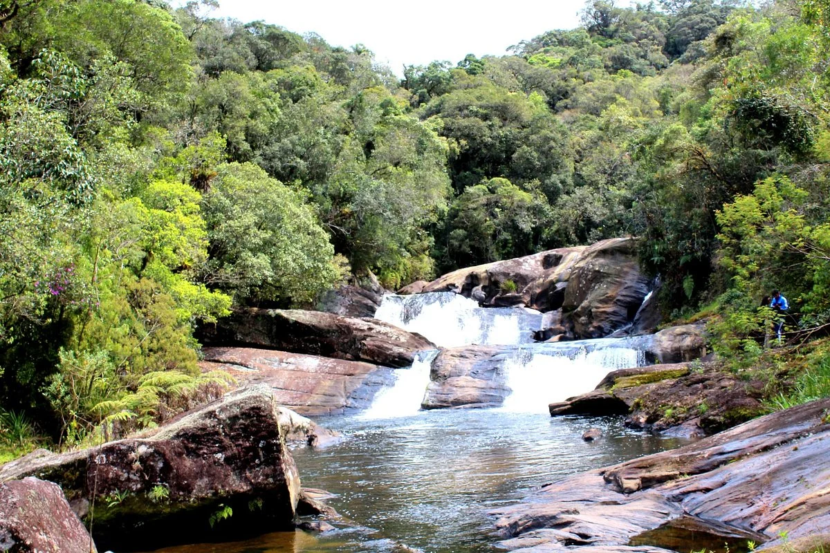 Parque Estadual da Serra do Mar