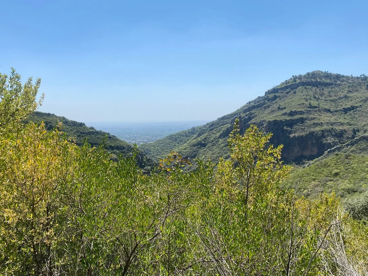 Trail 6