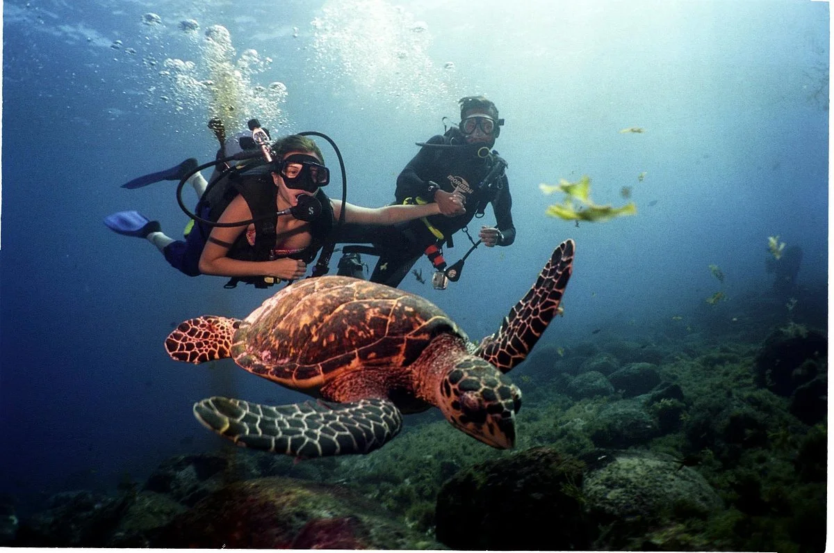 Oceano Sub Mergulho Ilhabela