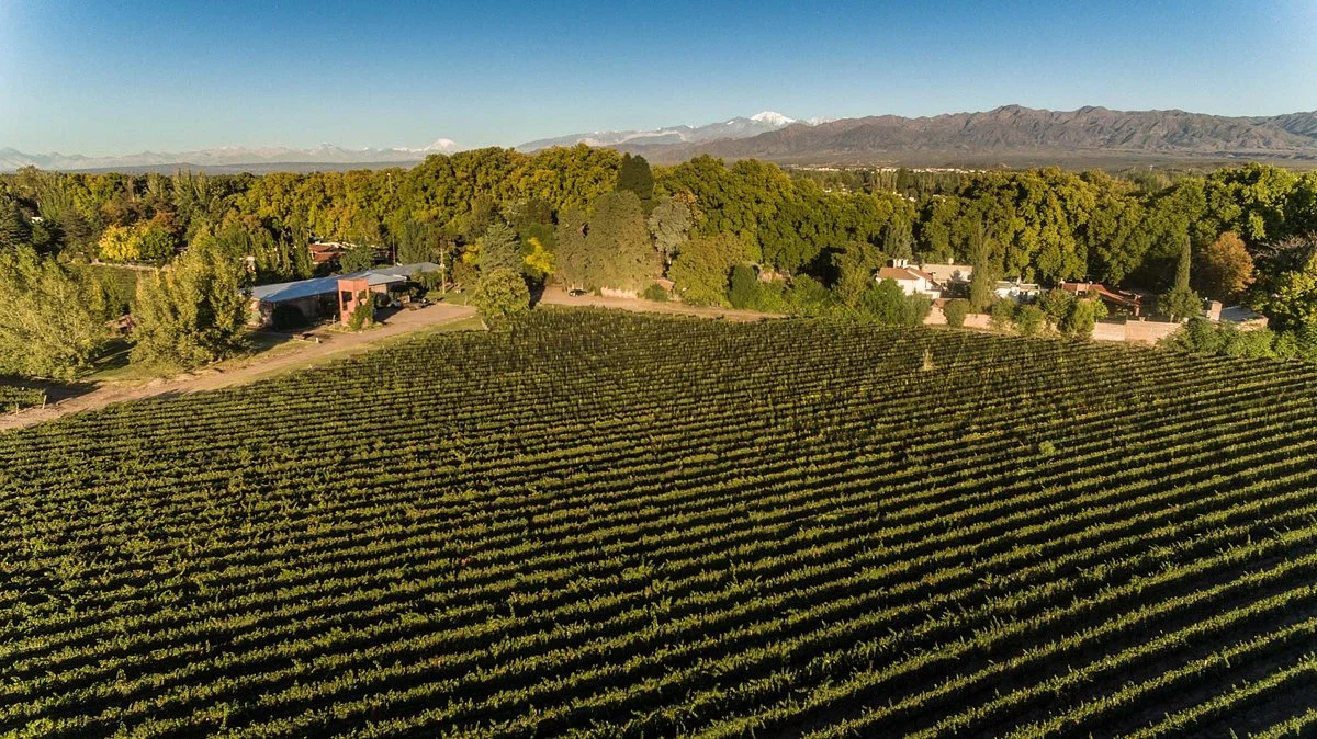 Bodega Hacienda del Plata