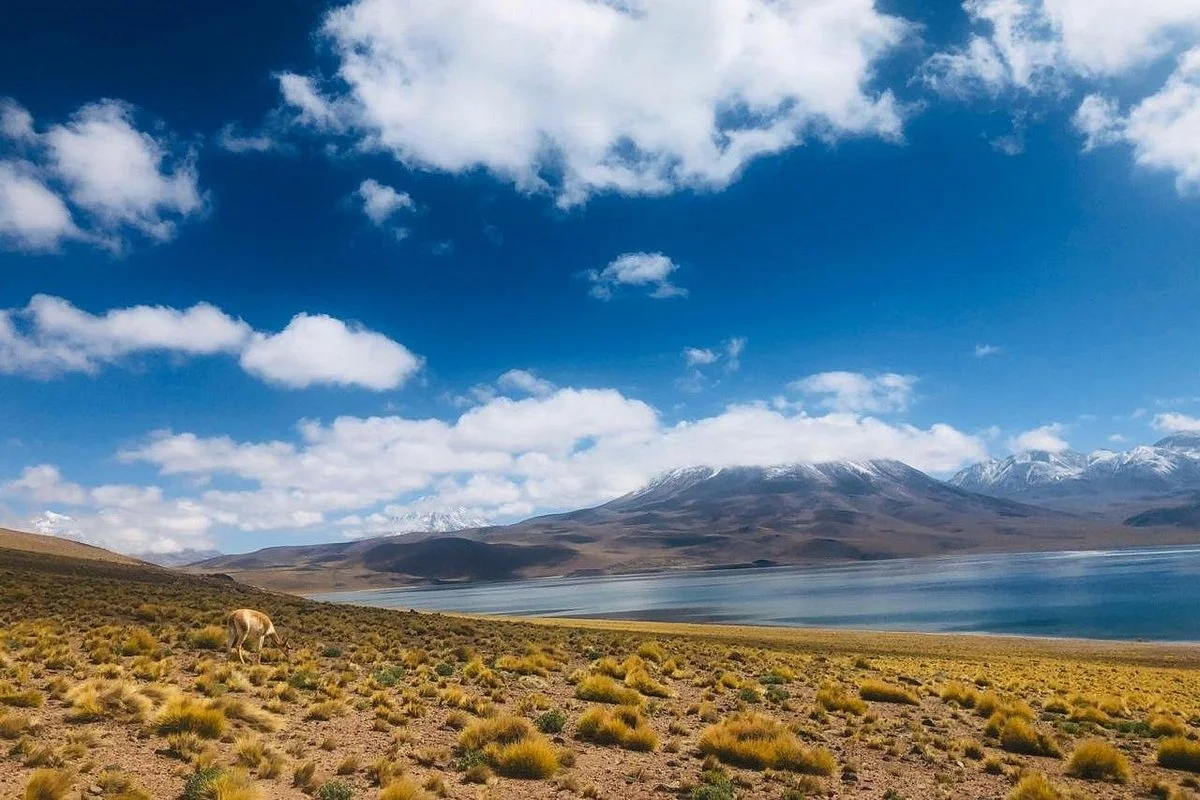 ATACAMA MAGIC