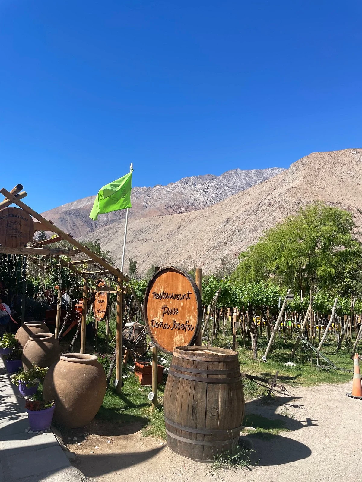 Doña Josefa de Elqui - Pisco Artesanal