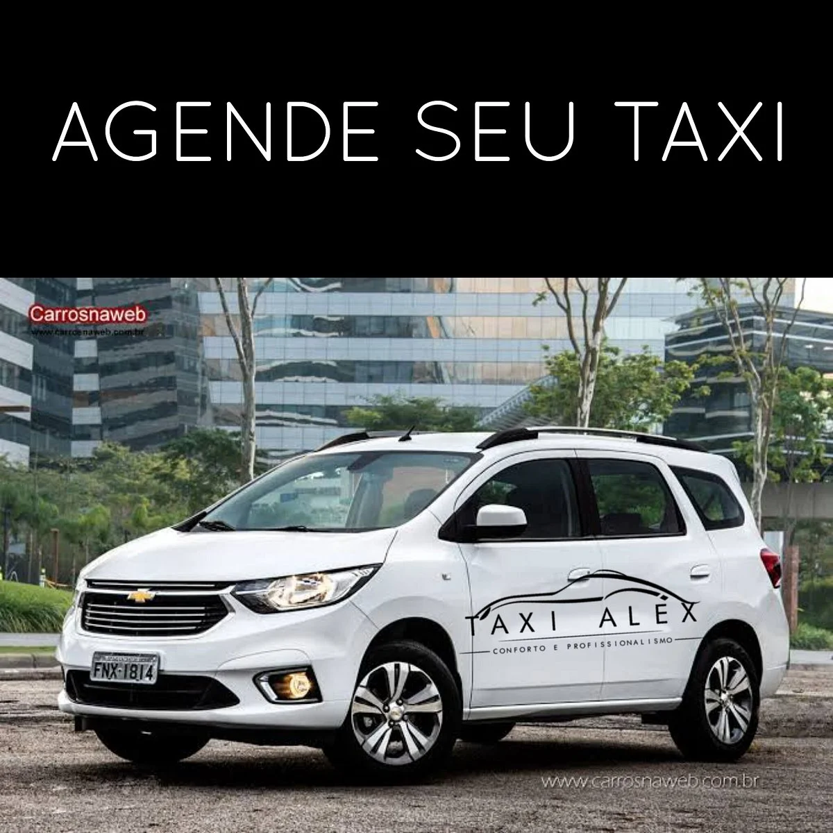 Taxi Alex