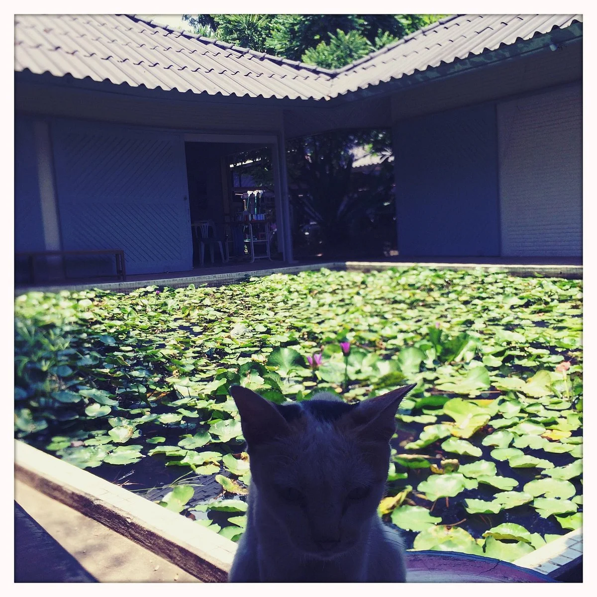 Houey Hong Vocational Training Centre for Women