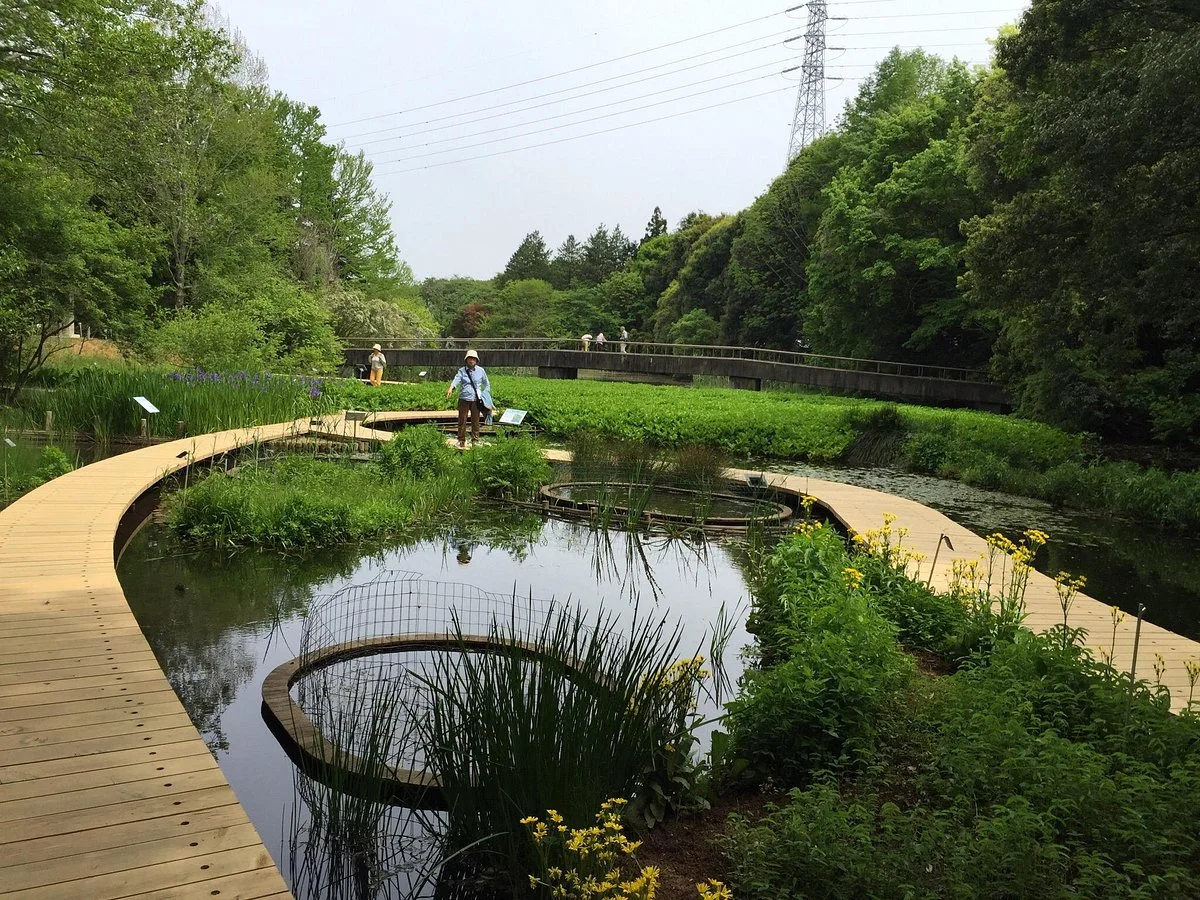 Tsukuba Botanical Garden