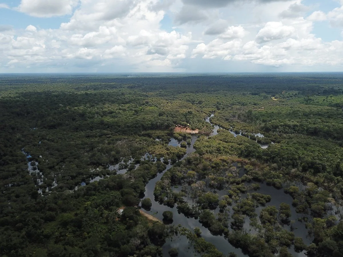 Amazon Green Tours