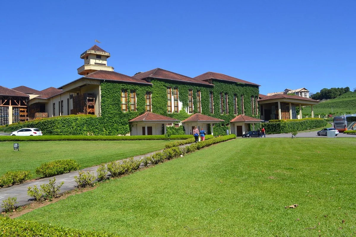 Miolo Wine Group