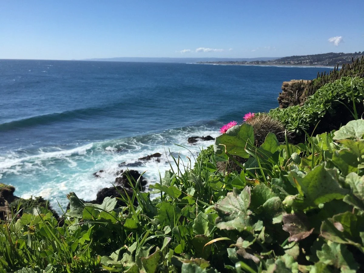 Playa Punta de Lobos