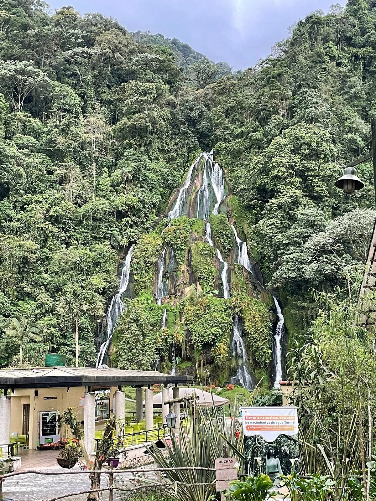 Parque Las Araucarias