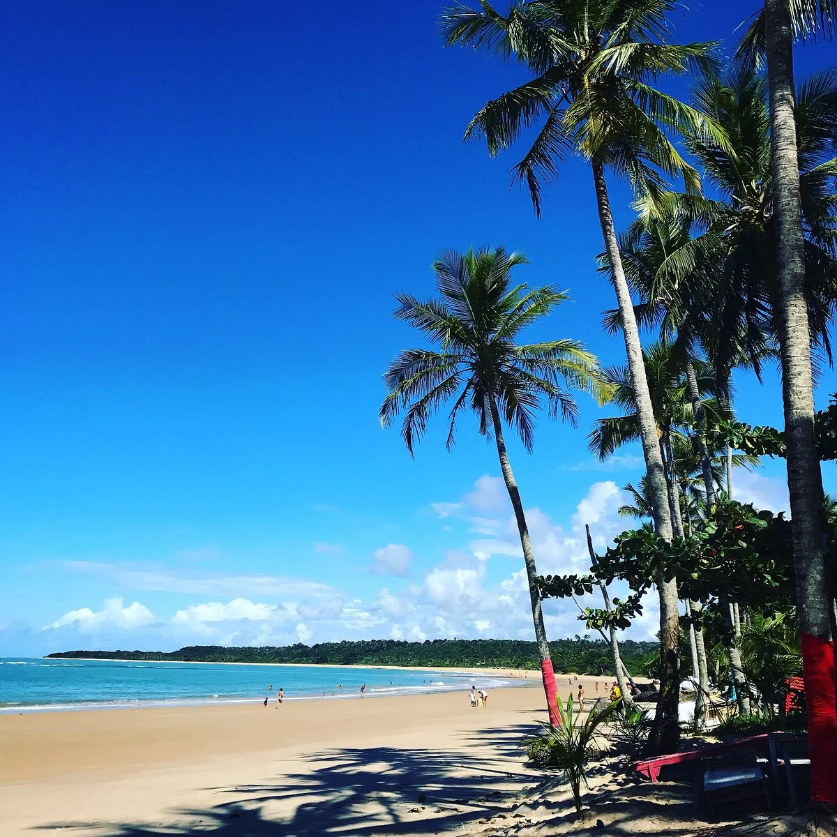 Praia dos Coqueiros