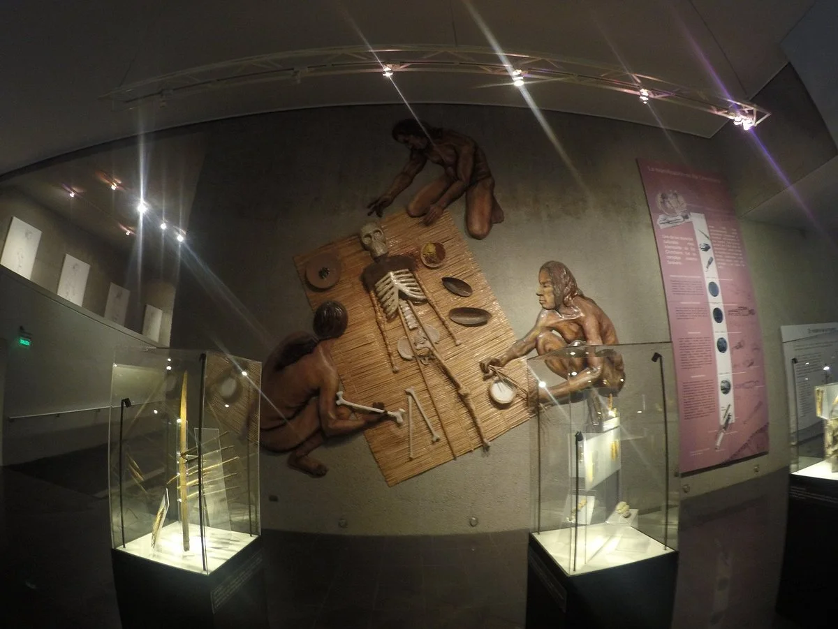 Museo Momias Chinchorro