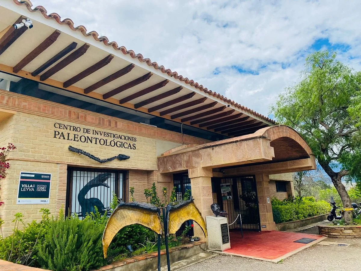 Centro de Investigaciones Paleontologicas - CIP