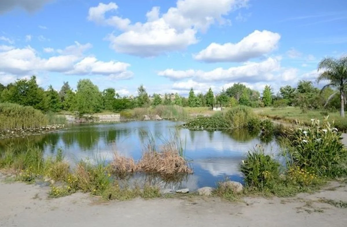 Jardín botanico de la Universidad de Talca