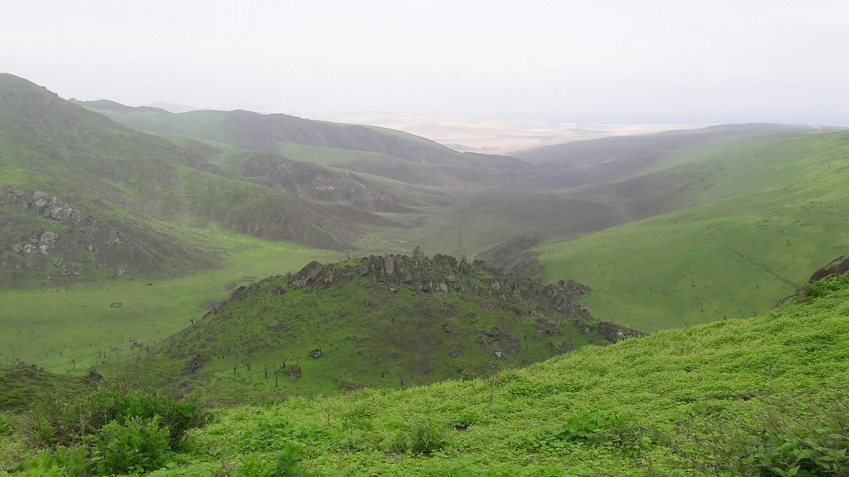 Reserva Nacional Lomas de Lachay