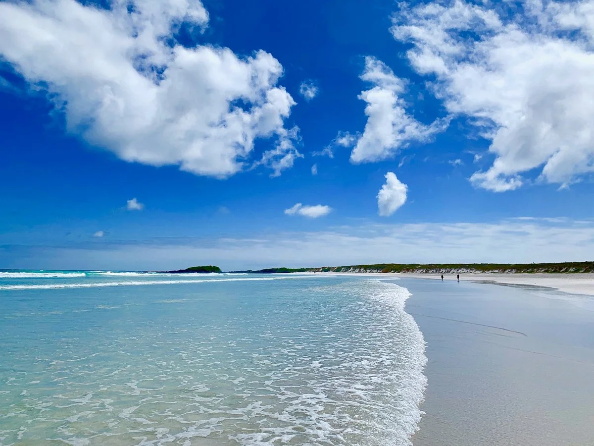 Galapagos Beach at Tortuga Bay