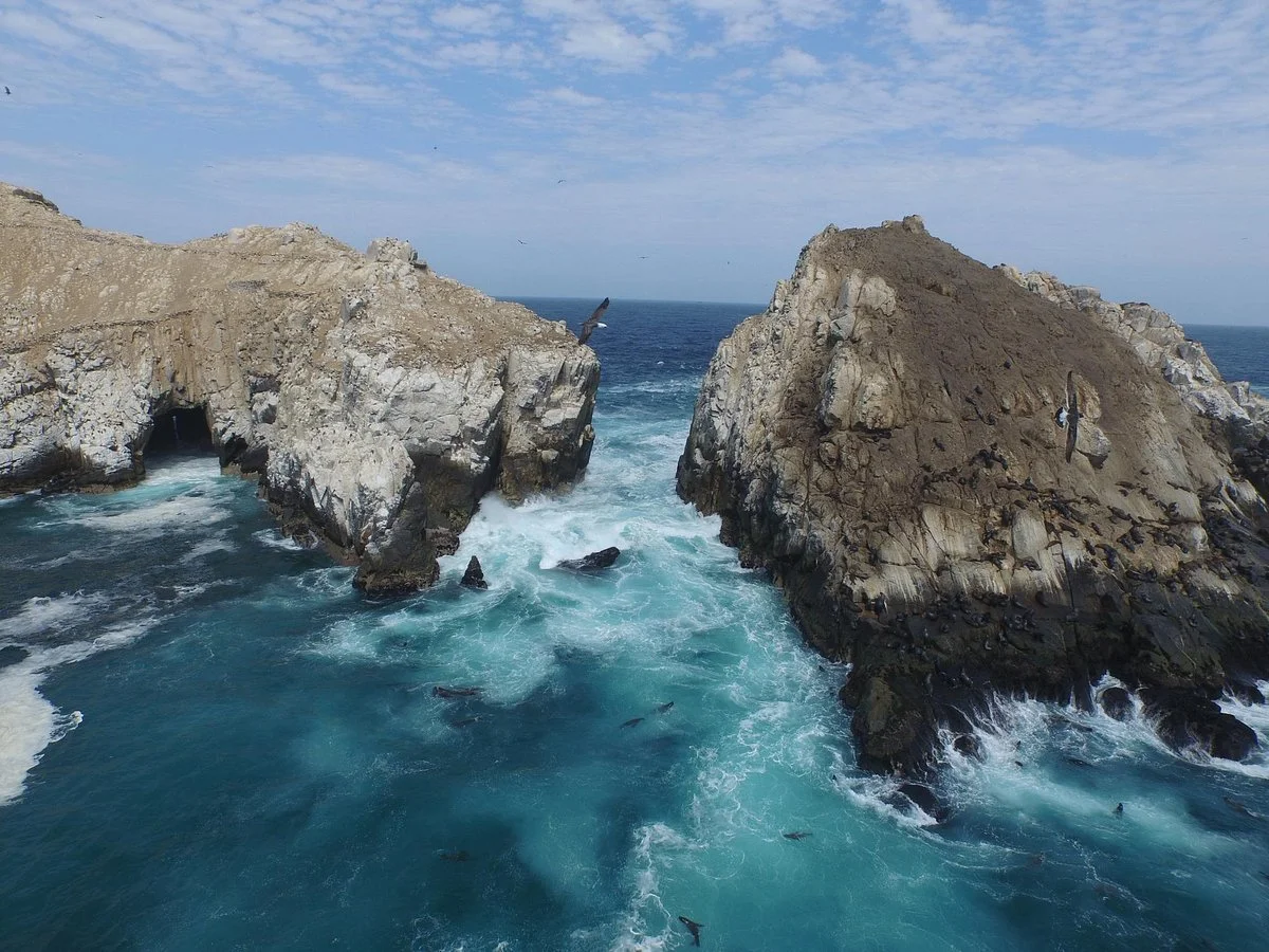 Islas Palomino