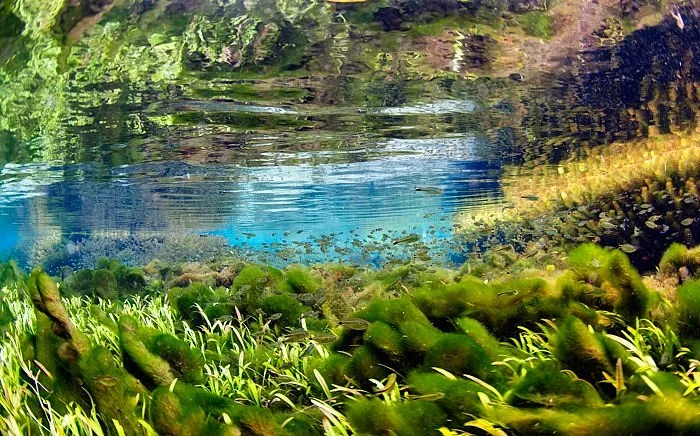 Rio Sucuri