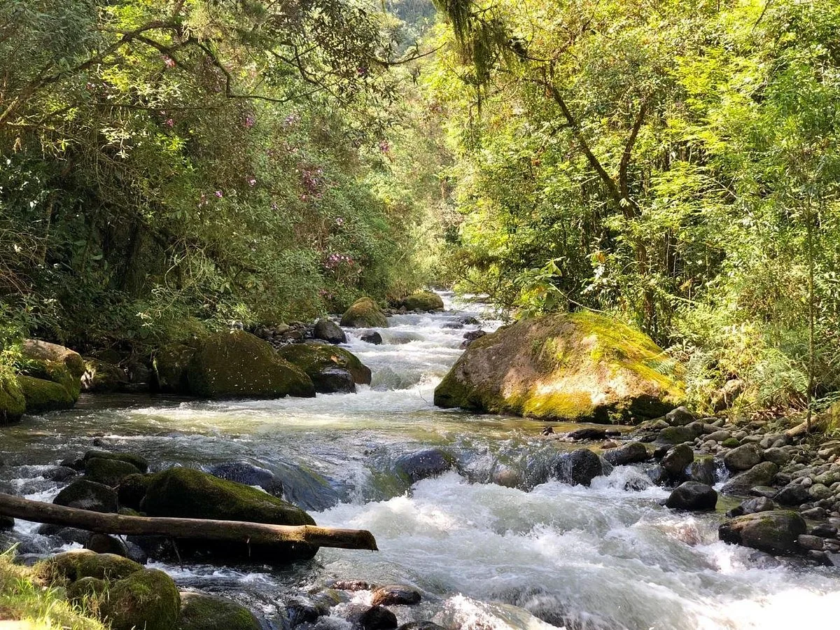 Parque Regional Natural Ucumari