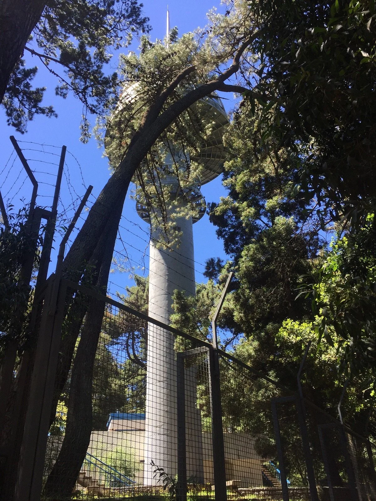 Cerro Caracol
