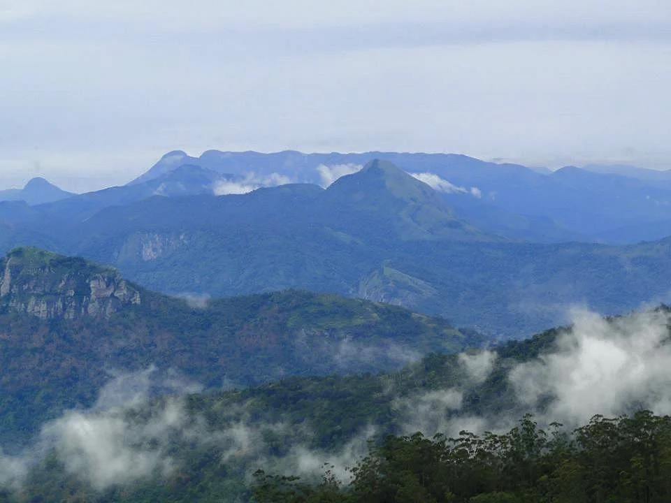Meenampara View Point