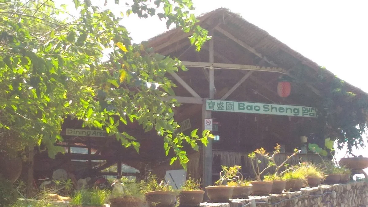 Bao Sheng Durian Farm