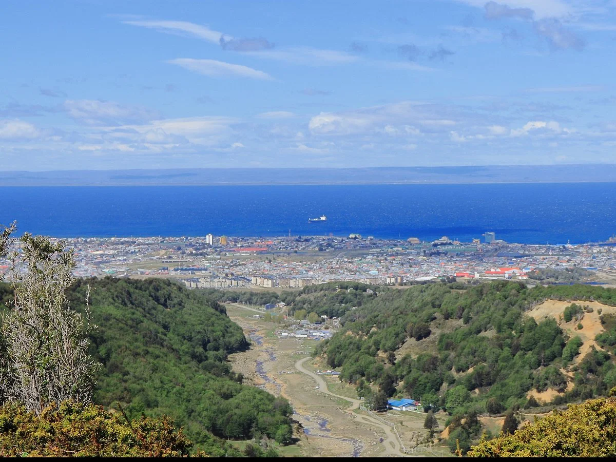 Reserva nacional Magallanes