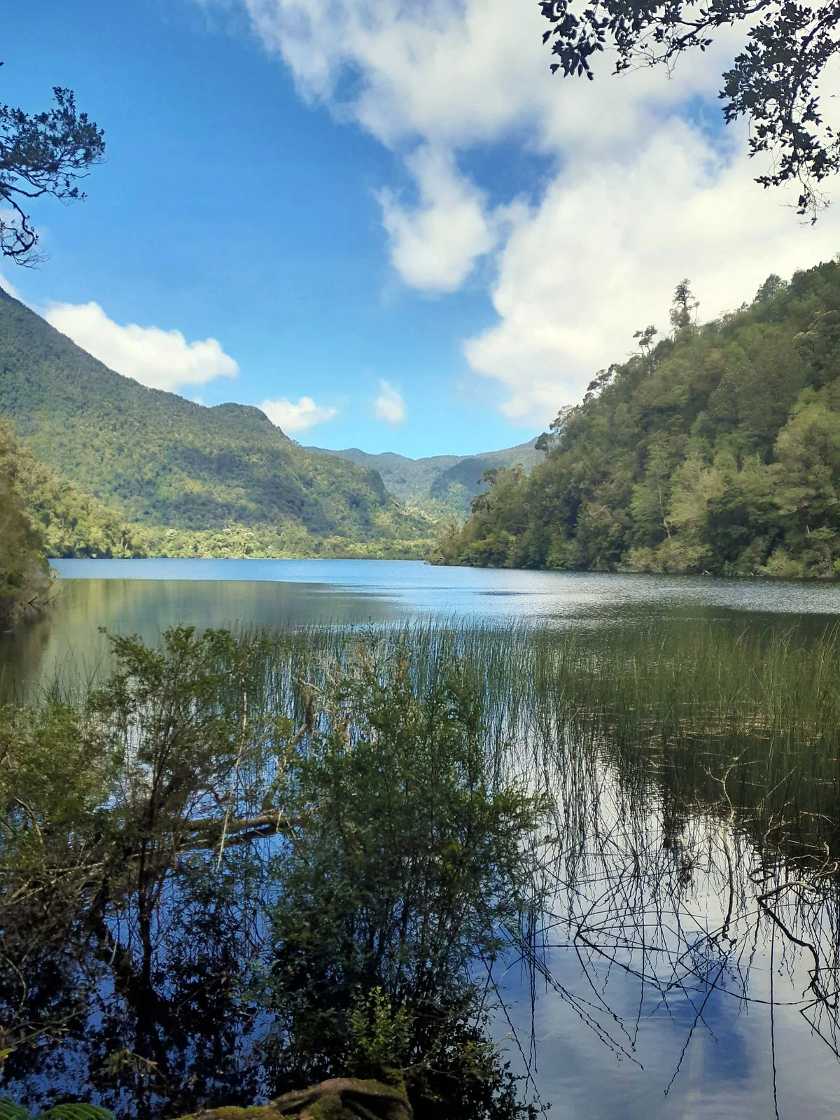 Parque Nacional Alerce Andino