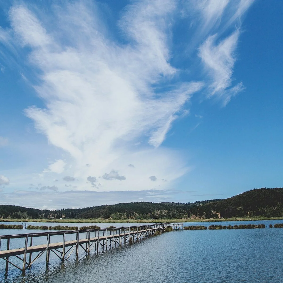 Salinas de Cahuil