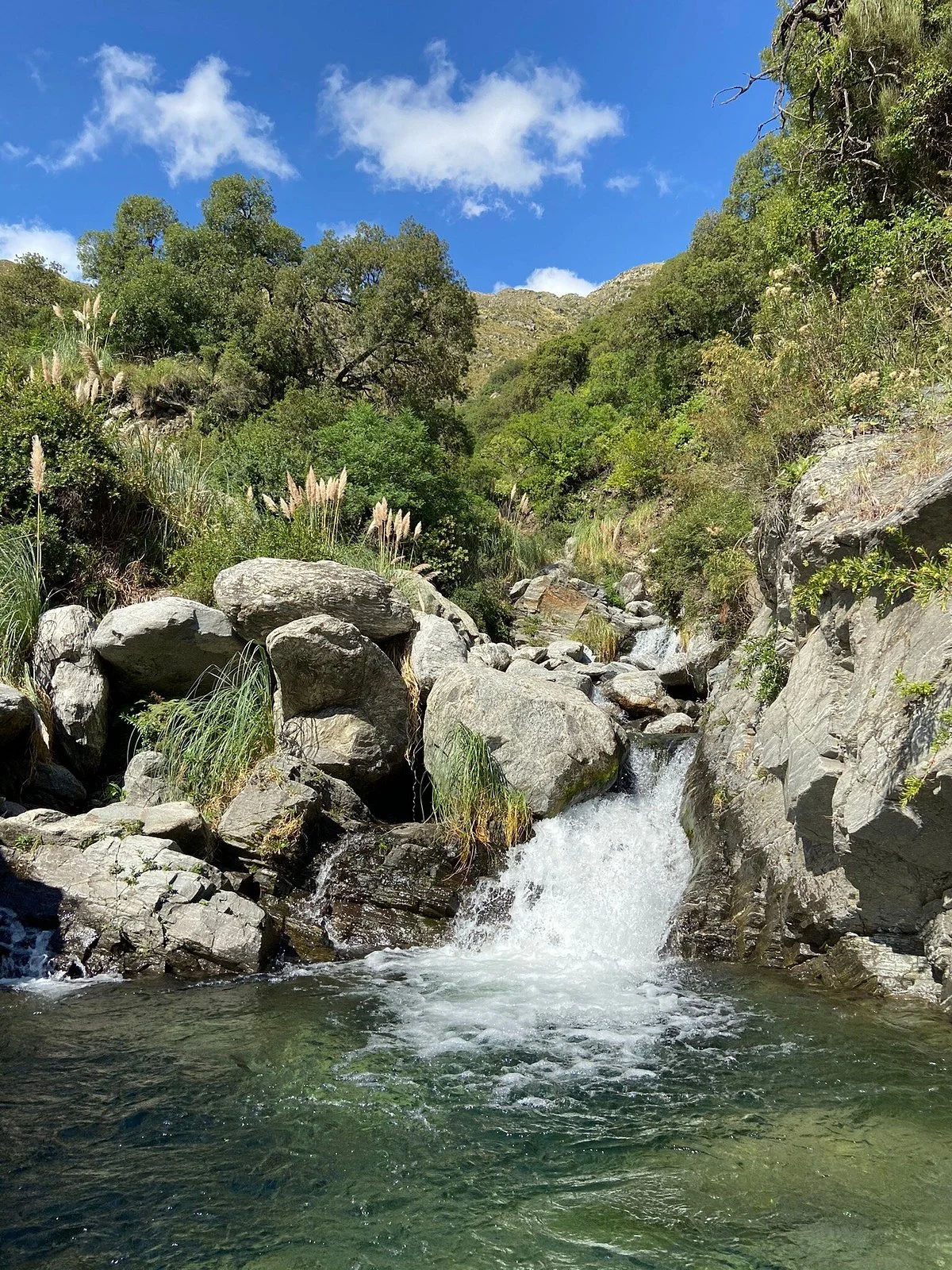 Reserva Florofaunistica de Rincon del Este
