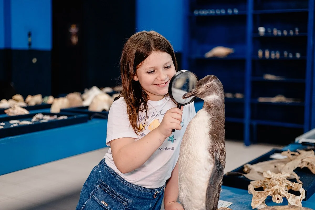 Univali Oceanographic Museum