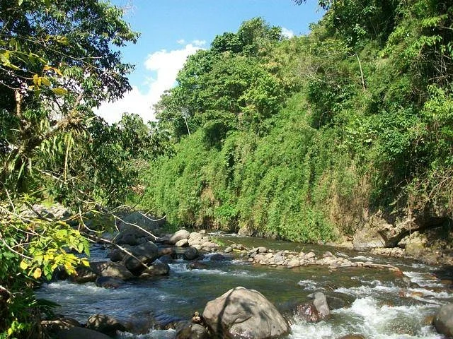 Kasaguadua Natural Reserve