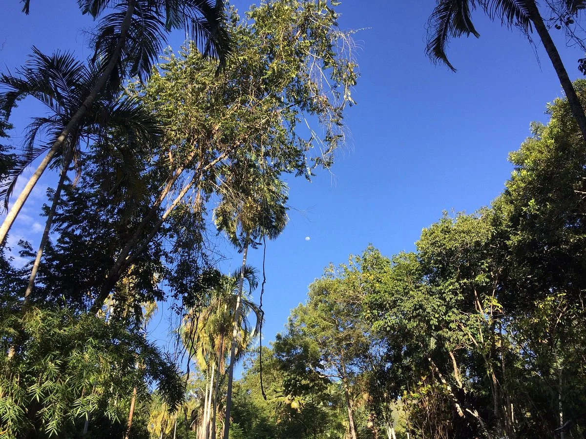 Parque Ecologico Ciudad Reptilia