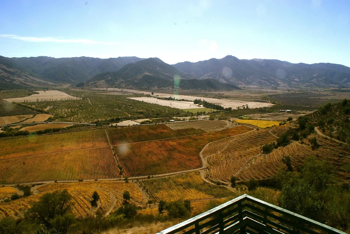 Colchagua Valley