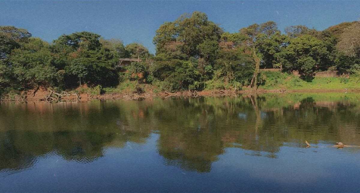 Jardin Botanico Santa Cruz