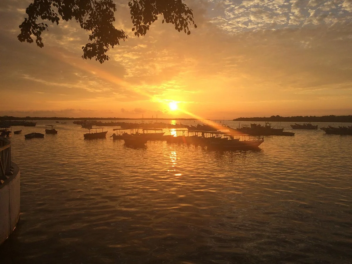 Los Manglares de Puerto Pizarro