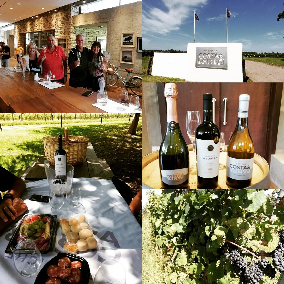 Trapiche Costa & Pampa