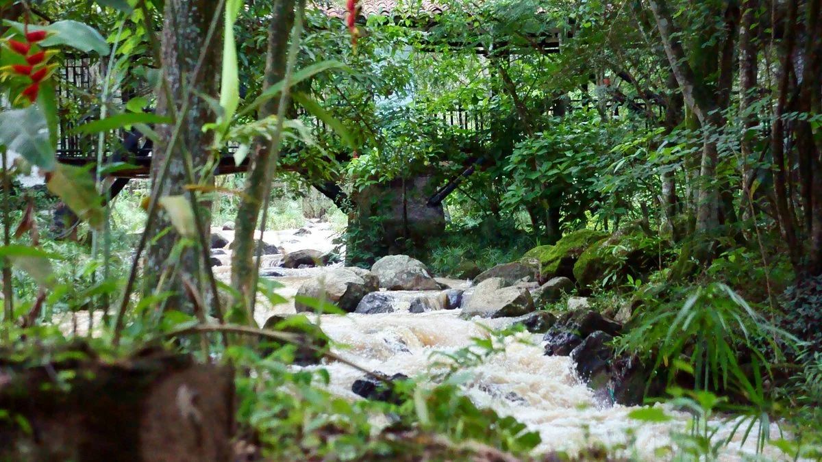 Parque Gallineral