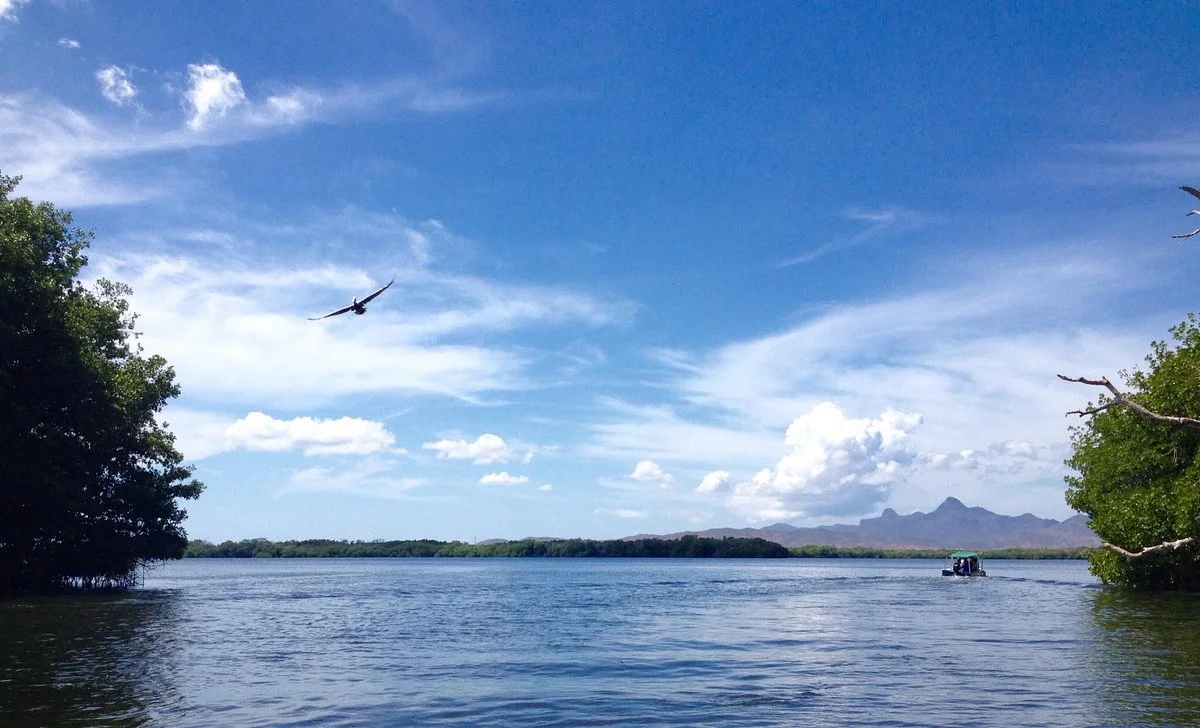 Laguna de la Restinga