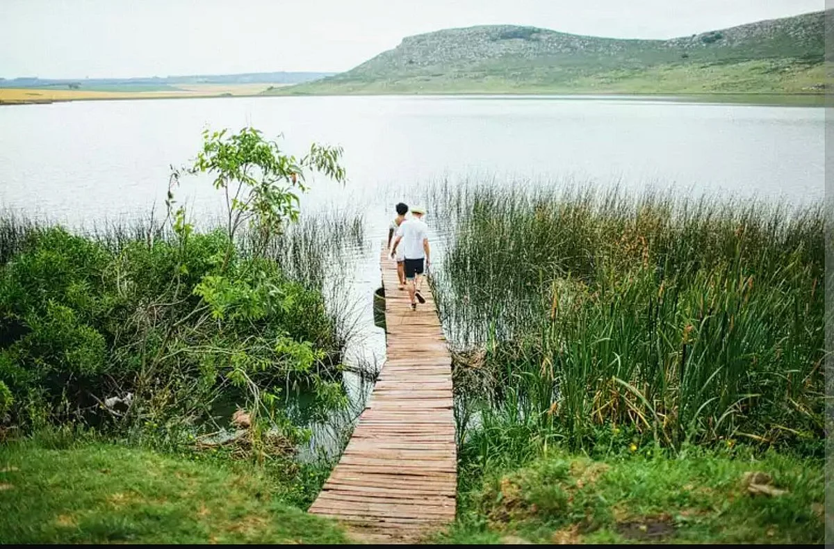 Laguna de los Padres